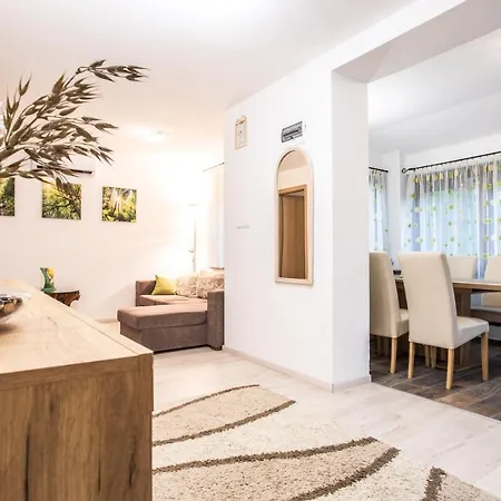公寓 Barackvirag Apartmanhaz 佩奇