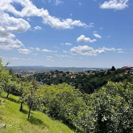 Barackvirag Apartmanhaz ペーチ